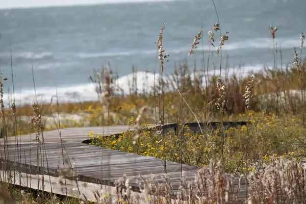 Kiawah Island, South Carolina boardwalk to the beach and ocean.