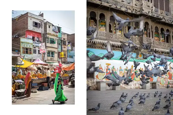 Pair of photos from India, one showing a woman in a market in Udaipur, and one showing pigeons in front of a colorful mural