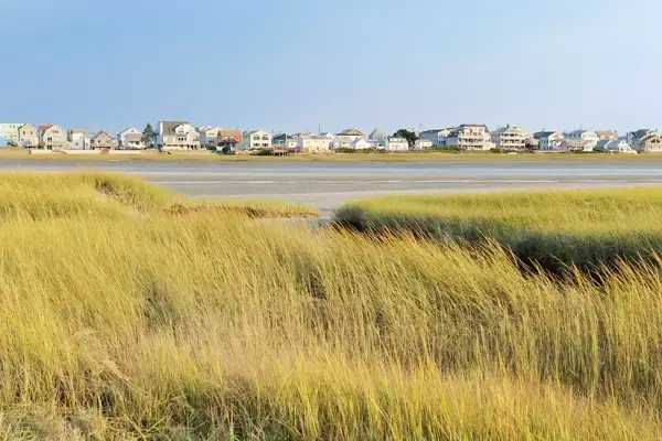 Row of cottages by the sea with seagrass in foreground (Wells, Maine, USA