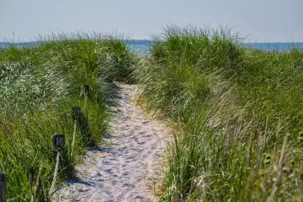 A windblown dunegrass path at Biddeford Beach, Maine. The Atlantic Ocean can be sen beyond.