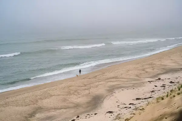 Person walking a dog along an empty beach shoreline