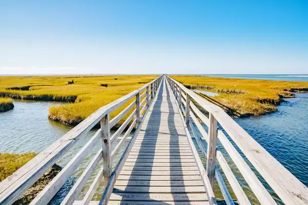 A wooden boardwalk extending over marshland with a clear horizon in the background