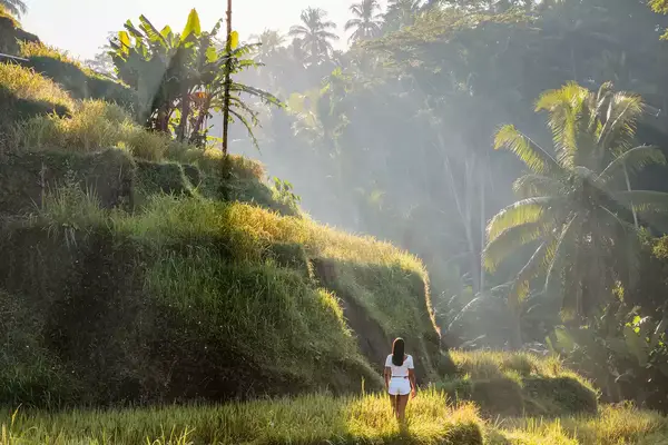 Asian woman at the rice terraces, Bali, Indonesia