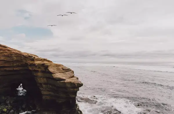 Birds flying over sunset cliffs