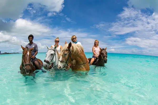 People riding horses in the crystal clear water from Provo Ponies