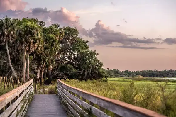 Myakka River State Park in Florida 