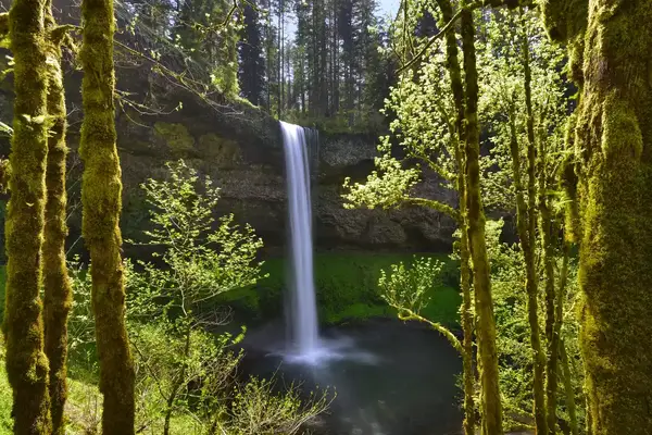 South Falls in Silver Falls State Park, Marion County, Oregon