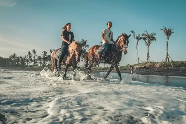 Two people riding horses on the beach