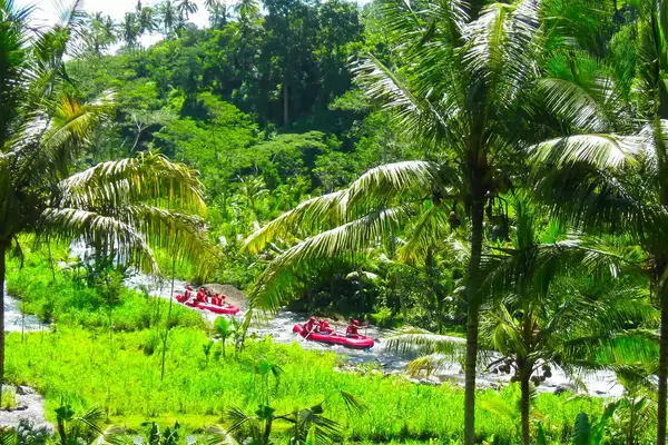 Rafting in the canyon on Balis mountain river Ayung at Ubud, Bali, Indonesia