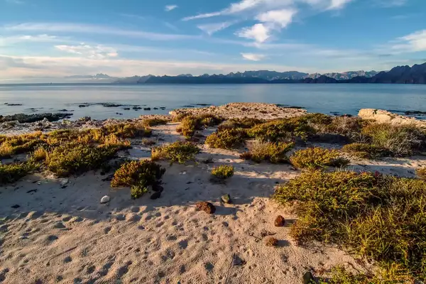 Fair morning on the southern point of Carmen Island. View of the Sierra de la Giganta on the mainland across the water. Loreto Bay National Marine Park. Baja California Sur, Mexico.
