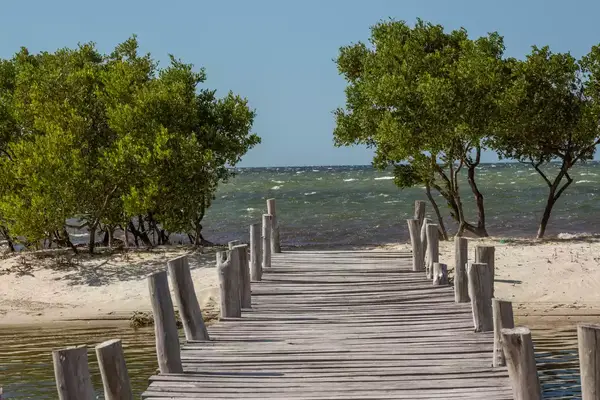 A walking bridge leads to the ocean in the town of Dzilam de Bravo