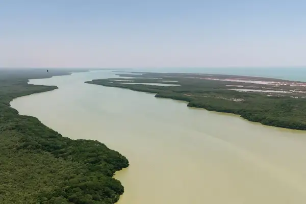 Aerial view of Celestun area