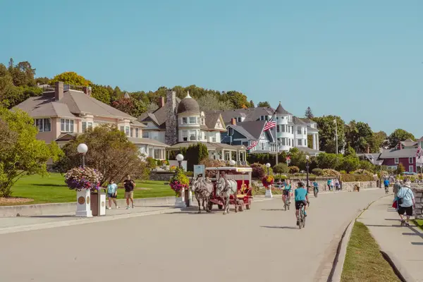 Cyclists on a busy street