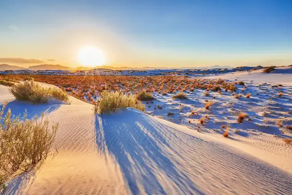 Desert landscape with sand dunes and vegetation at sunrise
