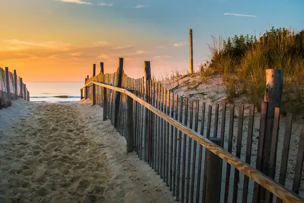 Pathway through sand dunes leading to the beach, bordered by wooden fencing