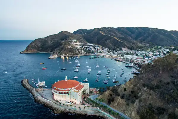aerial view of harbor filled with boats and a large lit building in the bottom of the image