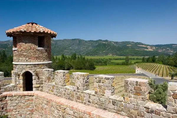 view from above of vineyard landscape from a stony castle wall in the forground