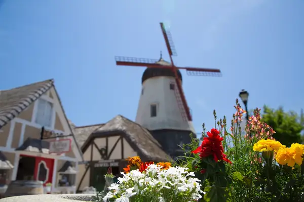view of flowers in the foreground and in the background a windmill with blue sky