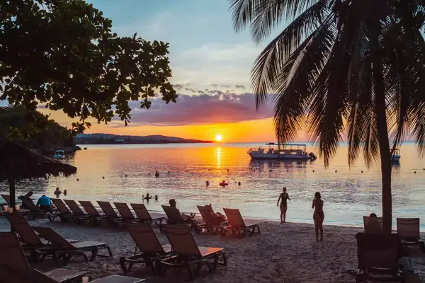 Beach coastline at sunset with lounge chairs, palm trees, and people near the water