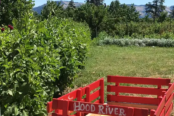 A red wagon labeled Hood River in a scenic rural location near fruit fields with a mountain in the background