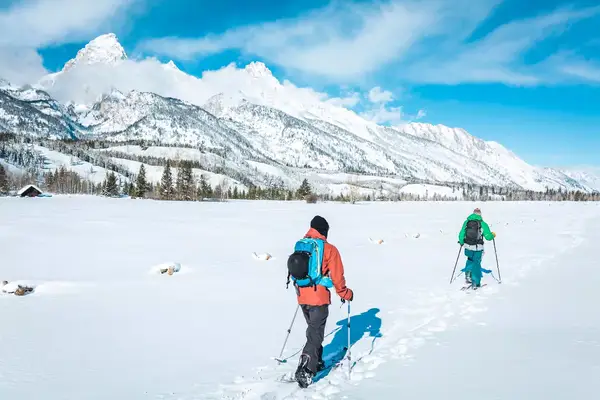 Rear view of skiers walking on field against snowcapped mountain