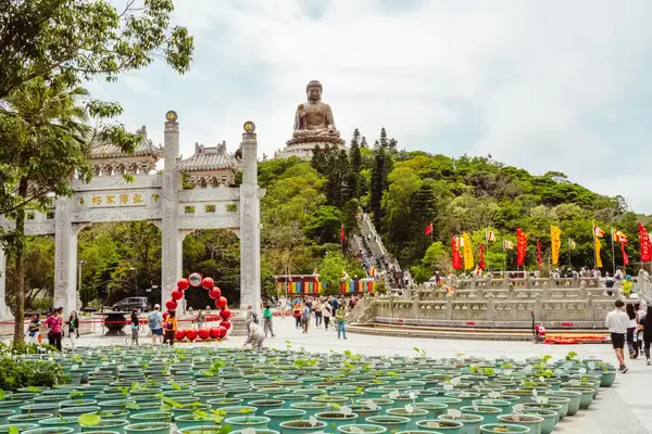A large buddha on a hill with other temple architecture at the bottom.