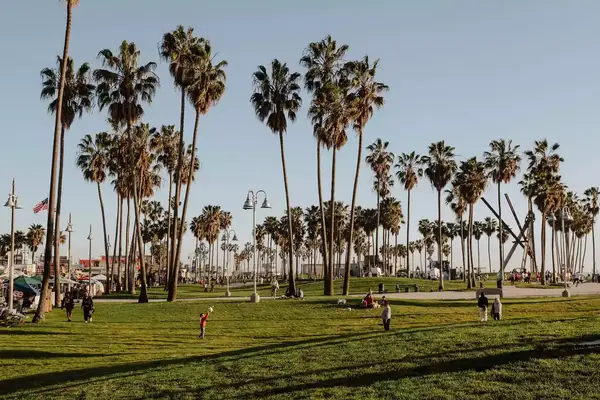 A park in Venice Beach
