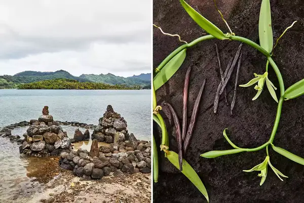 Pair of photos showing rock mounds and vanilla beans on the island of Tahaa
