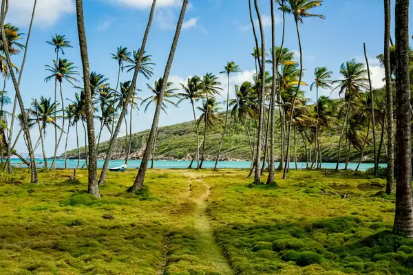 Bequia Island in Saint Vincent and the Grenadines