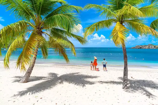 Three people on a tropical beach between palm trees, looking at the sea