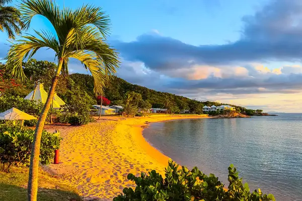 A tropical beach scene with palm trees, golden sand, and calm ocean waters