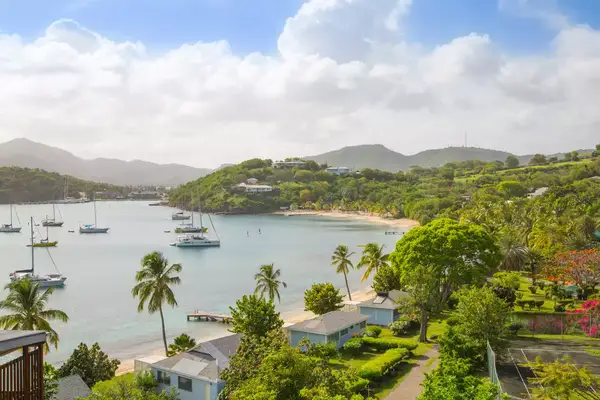 Coastal view with sailboats in a harbor, tropical vegetation, and buildings on a hillside