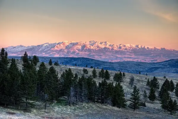 A mountain range in the background with a forest in the foreground captured during sunset or sunrise