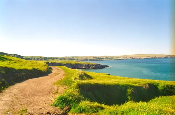 A scenic coastal path with green grass leading to the ocean