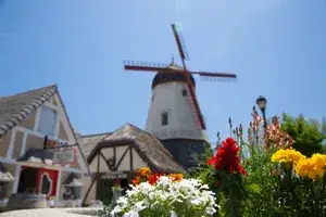 view of flowers in the foreground and in the background a windmill with blue sky
