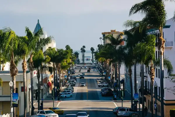 Palm treelined street leading to the ocean cars parked along the sides buildings on both sides