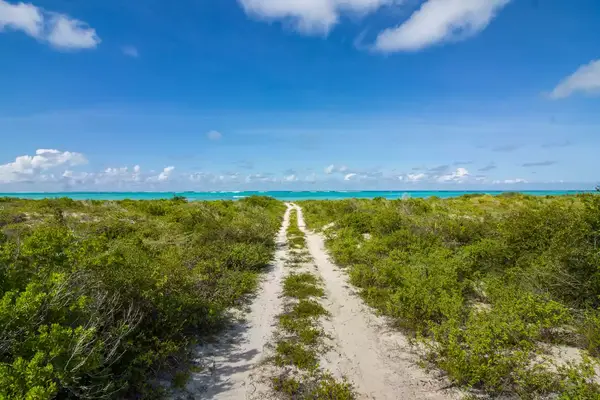 A walking path towards the beach