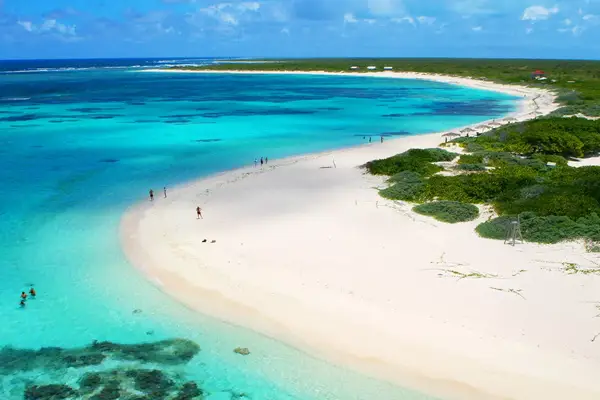 Aerial view of a beach