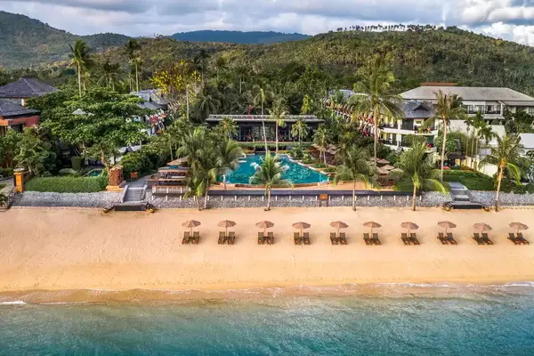 aerial view of a beach with beach chairs and large palm trees in back surrounding a pool