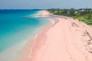 Pink Sand Beach Harbour Island The Bahamas