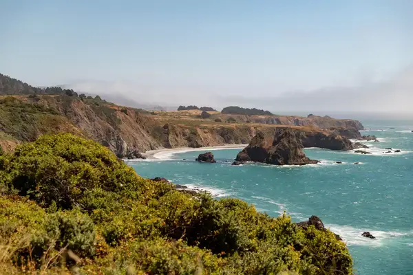 Cuffey Cove landscape