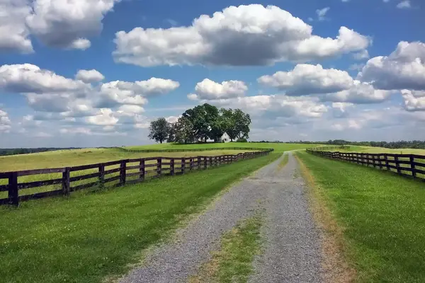 Road back home on an ideal summer day in Virgina horse country.