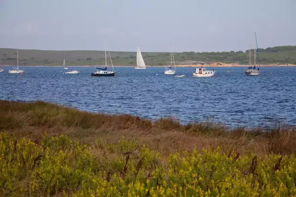 Tall grasses in the foreground open up to a view of small boats in a channel in Fornells, Menorca, Spain.