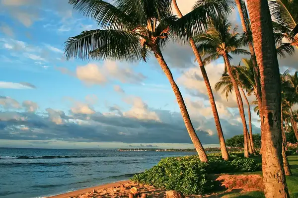 Beach in Kaanapali, Hawaii 