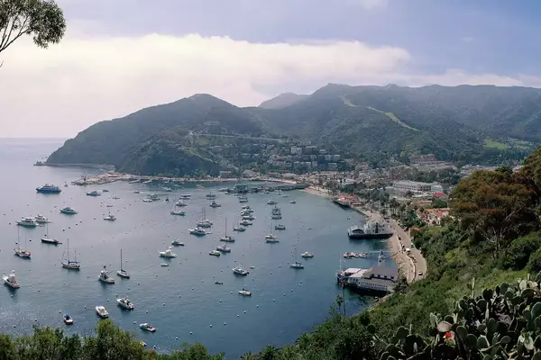 Aerial view of Avalon Harbor, Catalina Island, California