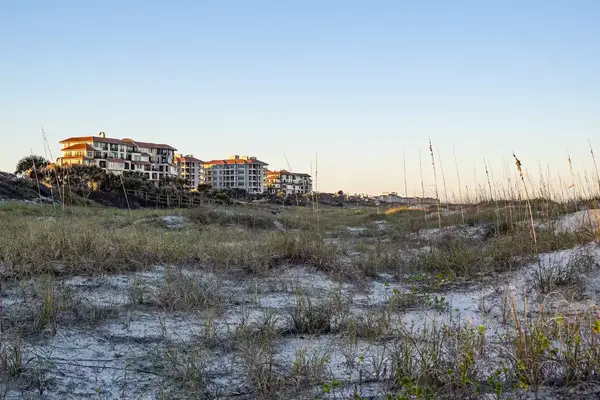 Tall grass on sandy dunes 