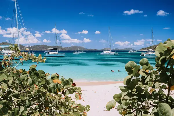 Sailboats anchored off BVI