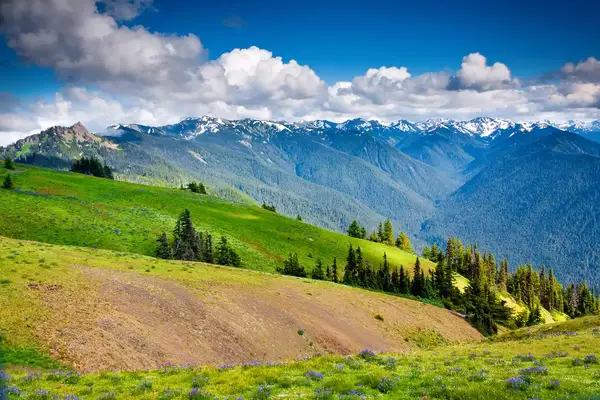 Mountainous landscape, green fields, and snow-capped peaks in the distance