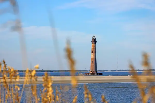 Seen through golden grass