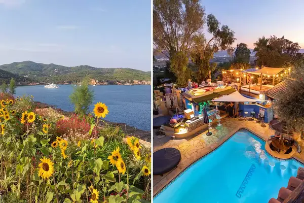 Pair of photos from Ibiza, showing sunflowers in a garden, and a view of guests having drinks at a hotel Pool